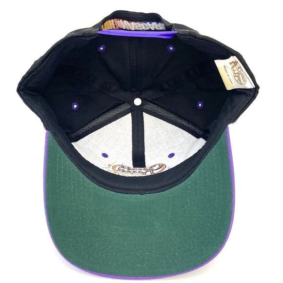 1999 NASCAR Cracker Barrel 500 Souvenir Hat Dale Earnhardt Sr. Autograph… - Picture 7 of 10